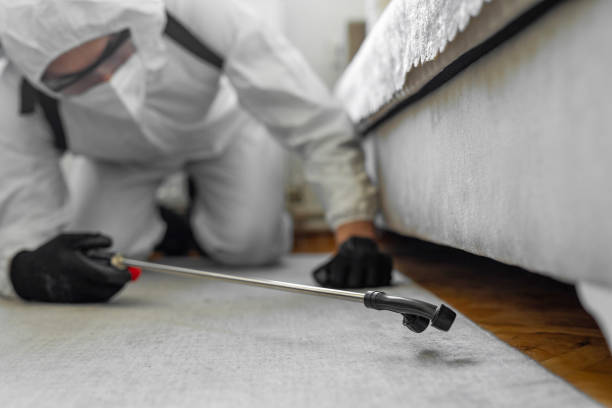 Professional Bed Bug Control technician working in Botetourt County County, VA